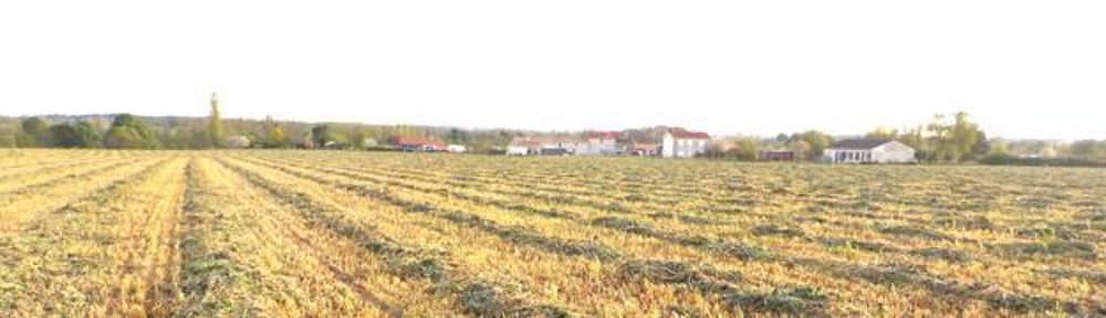 Préfanage.Pauvres en matière sèche, ces fourrages réclament un long préfanage de soixante à soixante-dix heures, voire plus selon les conditions météo. Arvalis